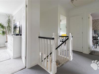 Picture 30